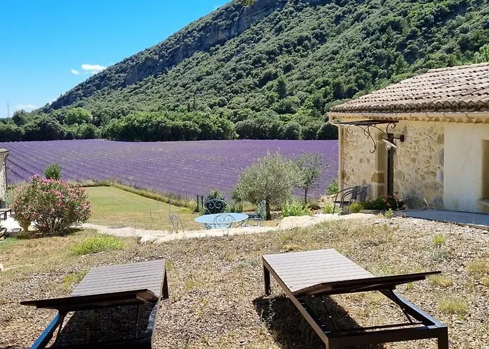 Mas De La Lance Bed and breakfast 4*